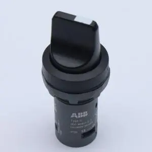 Specialty Switch (2)