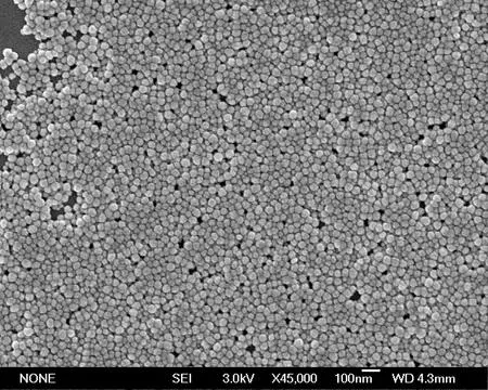 Optimizing Sintered Silver Paste Porosity (