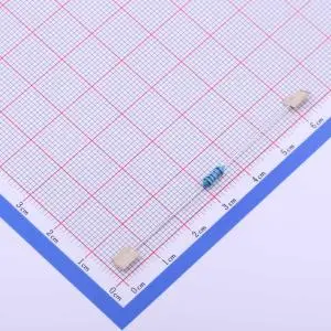 Through Hole Resistor (22)