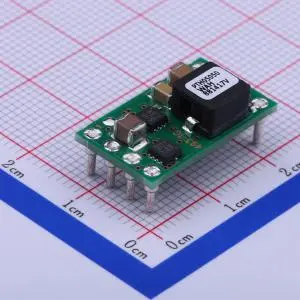 DC-DC Power Module (22)