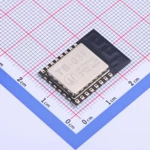 Bluetooth Module (23)