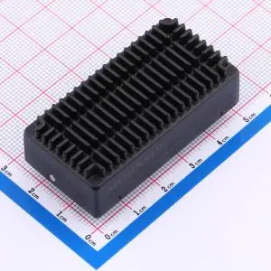 DC-DC Power Module (43)