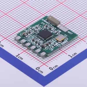 Bluetooth Module (2)