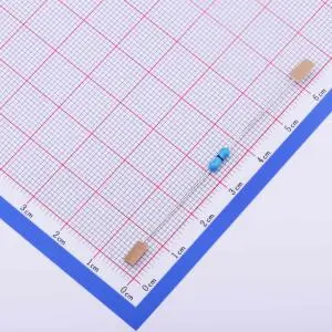Through Hole Resistor (13)