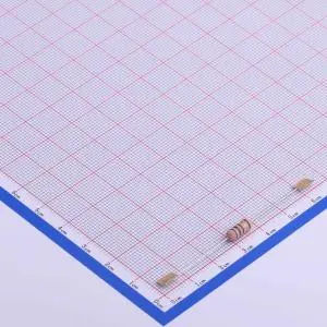 Through Hole Resistor (21)