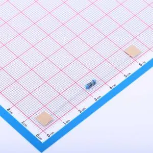 Through Hole Resistor (20)